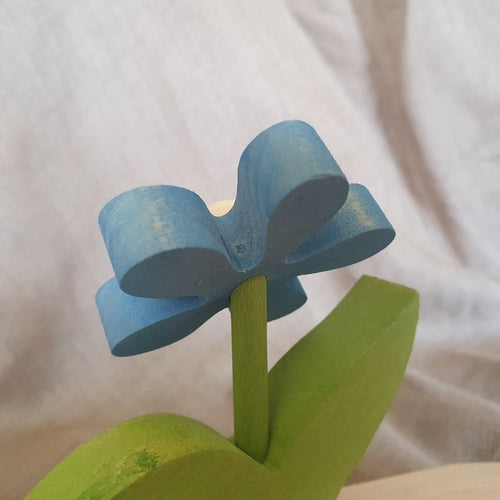 Butterblume blau weiß