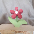 Butterblume rot weiß