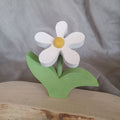Buttercup white yellow