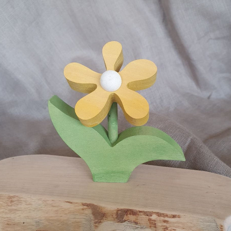 Butterblume gelb weiß