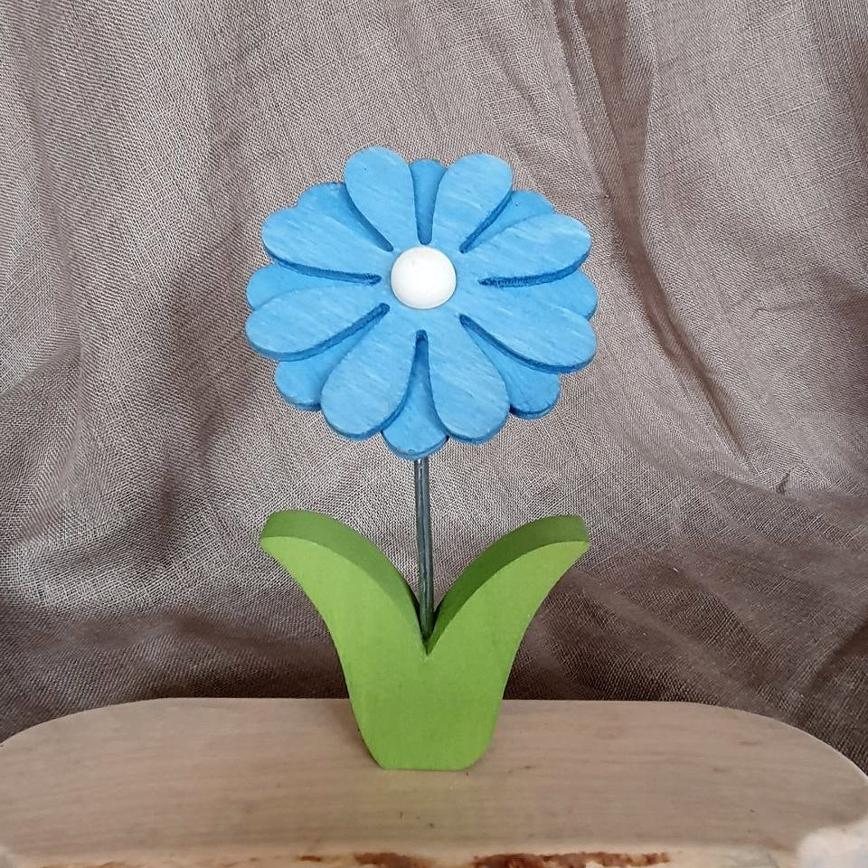 Gerbera plug blue-white
