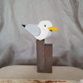 Seagull on a bollard