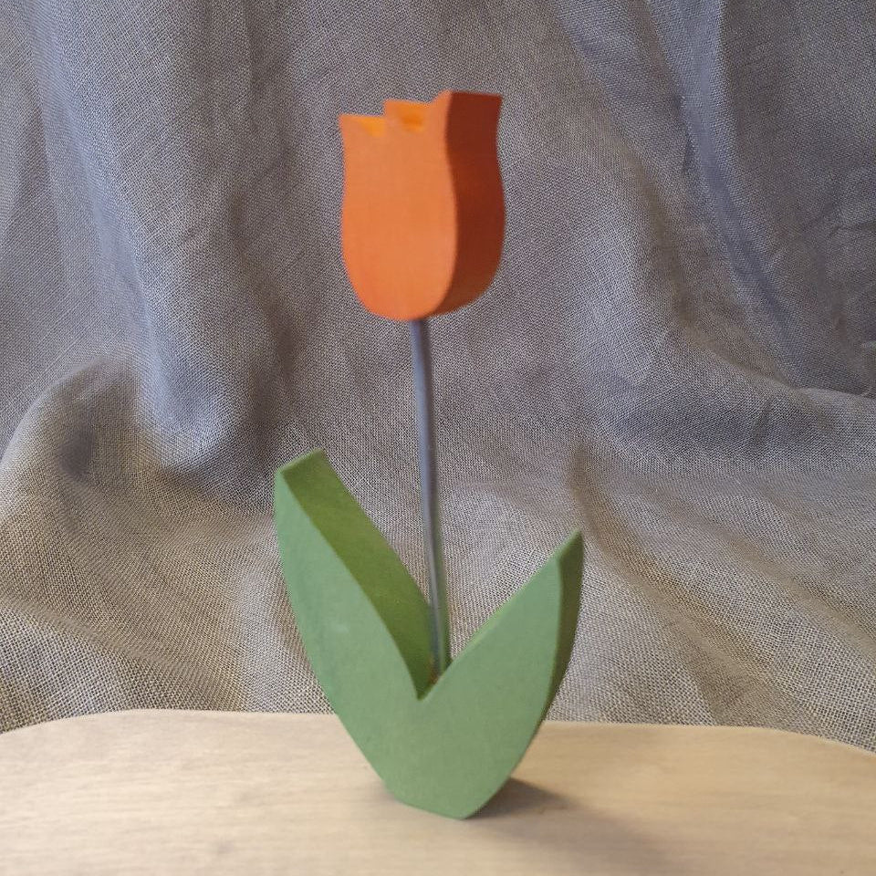 Plug Tulip orange