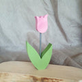Plug tulip pink