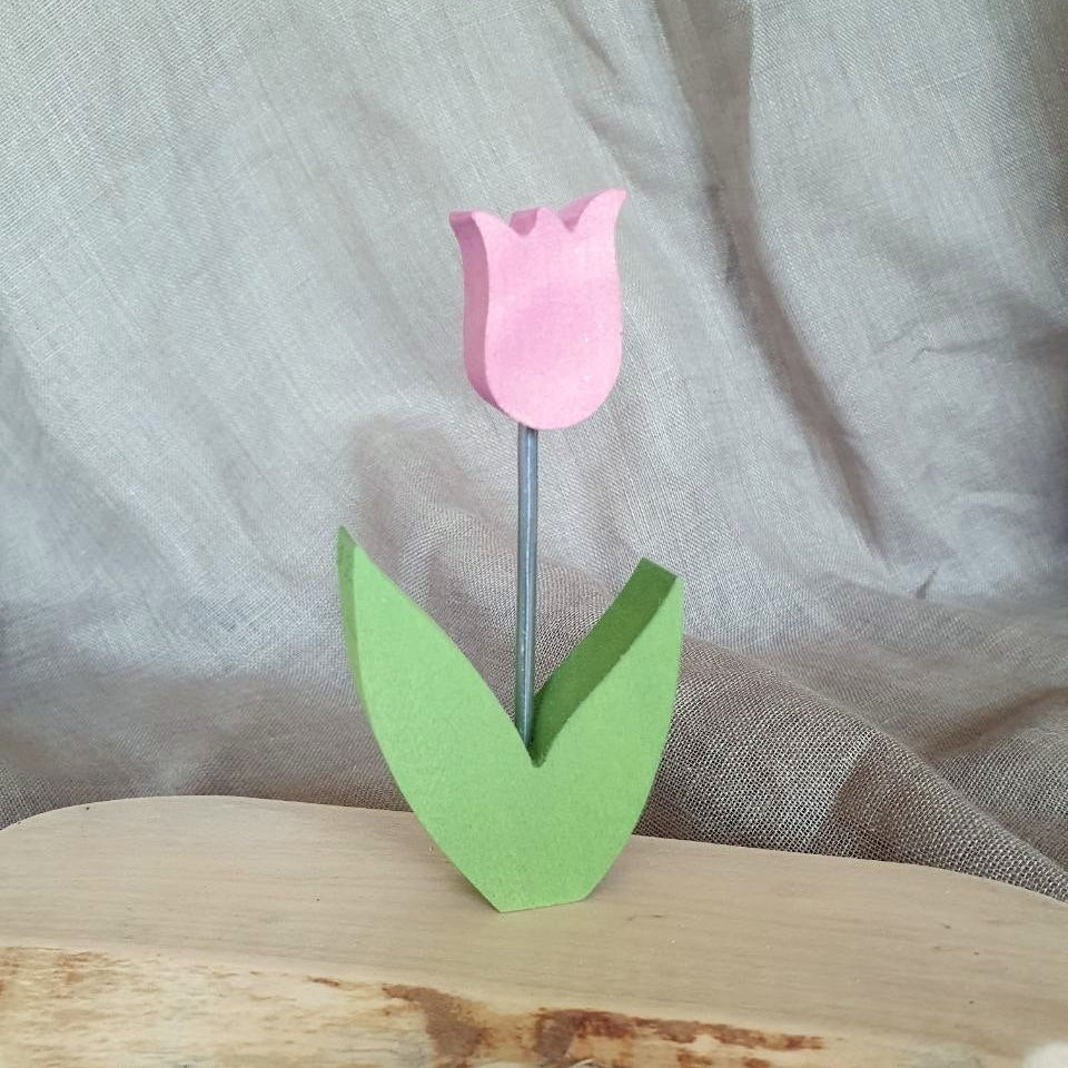 Plug tulip pink