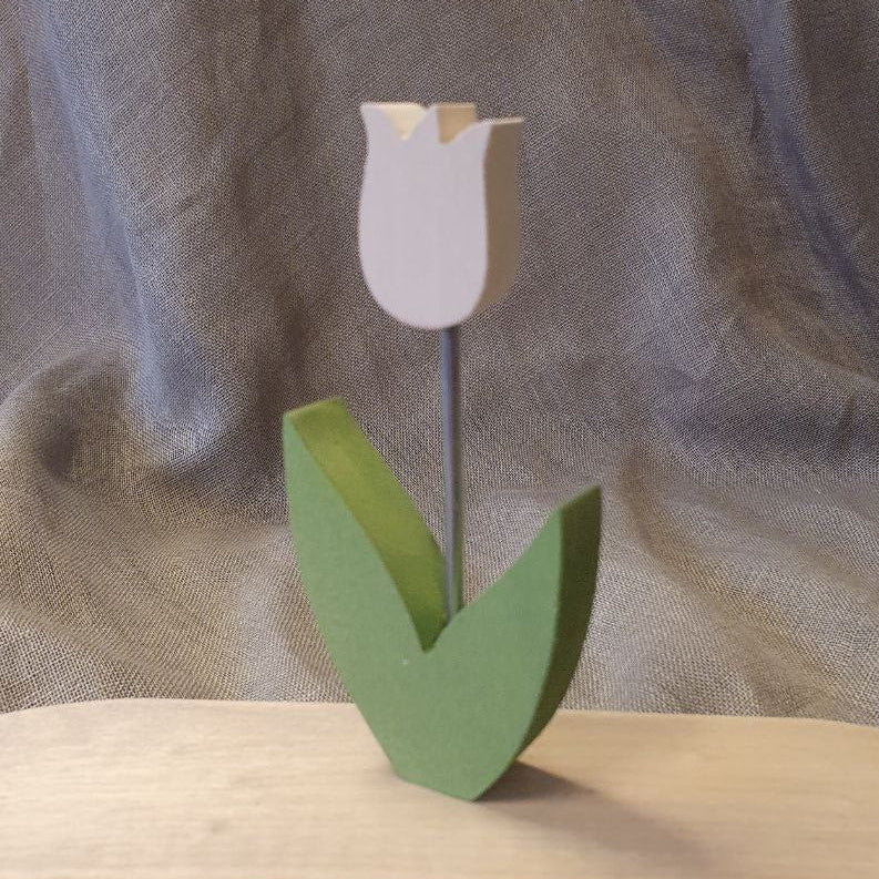 Plug Tulip white